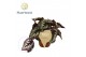 Begonia blad Begonia rex Fireworks 12cm 3 pp 