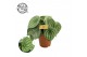 Peperomia argyreia watermelon 