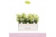 Phalaenopsis multiflora geel 3-5 tak boquetto sensation 