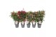 Fuchsia mix op rek 