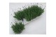 Lavandula angustifolia essence purple 