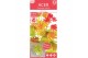 Acer shirasawanum Moonrise 90 cm stam 