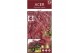 Acer palmatum garnet 90 cm cm stam 