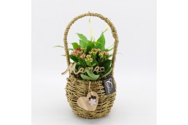 Arrangementen kamerplanten MDCR-2507 Moederdag creatie 2 pp