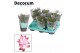 Schlumbergera rood decorum met hoes 