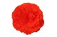 Begonia fortune  orange shades 