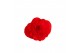 Begonia fortune  scarlet red 