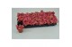 Fittonia pink special 