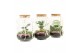 Arrangementen kamerplanten 21708: Mothers day arrangement 2 pp 