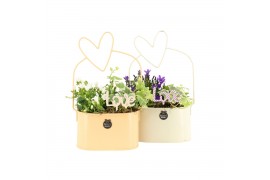 Arrangementen tuinplanten 21747: Mothers day outdoor arrangement 2 pp