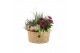 Arrangementen tuinplanten 21752: Mothers day outdoor arrangement 4 pp 