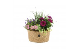 Arrangementen tuinplanten 21752: Mothers day outdoor arrangement 4 pp
