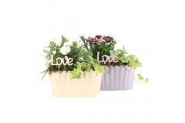 Arrangementen tuinplanten 21745: Mothers day outdoor arrangement 2 pp