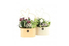 Arrangementen tuinplanten 21746: Mothers day outdoor arrangement 2 pp