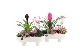 Arrangementen kamerplanten 21689: Mothers day arrangement 3 pp