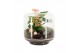 Arrangementen kamerplanten 21722: Mothers day arrangement 3 pp 