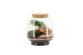 Arrangementen kamerplanten 21732: Mothers day arrangement 2 pp