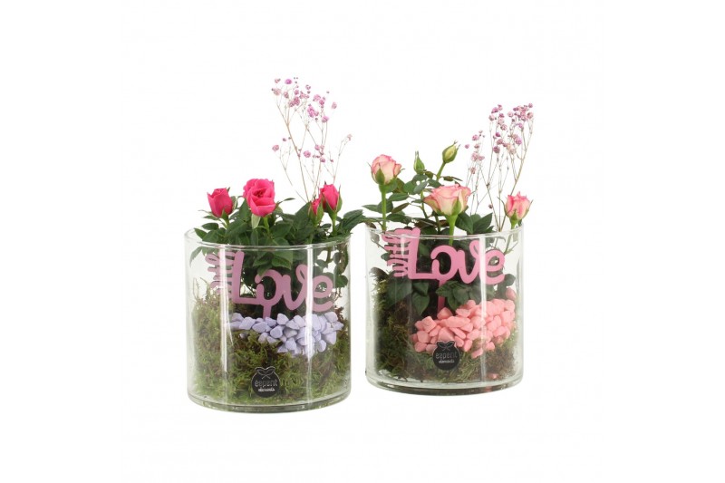 Arrangementen kamerplanten 21692: Mothers day arrangement 1 pp Arrangementen kamerplanten 21692: Mothers day arrangement 1 pp