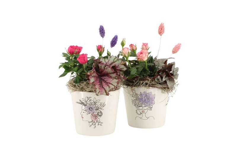 Arrangementen kamerplanten 21700: Mothers day arrangement 1 pp Arrangementen kamerplanten 21700: Mothers day arrangement 1 pp