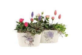 Arrangementen kamerplanten 21704: Mothers day arrangement 2 pp