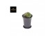 Cactus Gymno Spineless Bridge XL 