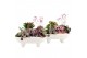Arrangementen kamerplanten 21687: Mothers day arrangement 3 pp 