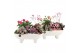 Arrangementen kamerplanten 21688: Mothers day arrangement 3 pp 