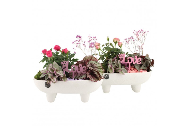 Arrangementen kamerplanten 21688: Mothers day arrangement 3 pp Arrangementen kamerplanten 21688: Mothers day arrangement 3 pp