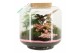 Arrangementen kamerplanten 21731: Mothers day arrangement 4 pp 