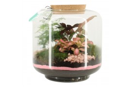 Arrangementen kamerplanten 21731: Mothers day arrangement 4 pp