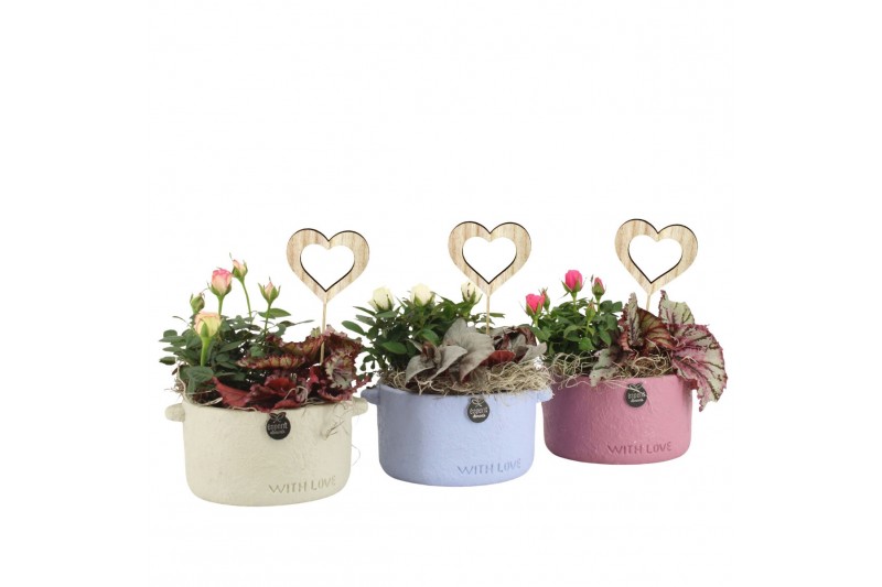 Arrangementen kamerplanten 21662: Mothers day arrangement 2 pp Arrangementen kamerplanten 21662: Mothers day arrangement 2 pp