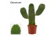 Opuntia Opuntia consolea rubescens 9 cm (Decorum) 