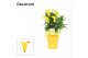 Zantedeschia sunclub geel decorum in ompot amy geel Pasen 