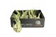 Tillandsia seleriana 101433 x10 