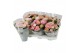 Hydrangea macr. magical revolution Roze 5-6 Bloem 