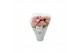 Hydrangea macr. magical revolution Roze 5-6 Bloem 
