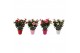 Mandevilla sundaville mix mixtray op rek 