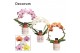 Phalaenopsis mix Boog - 2 tak, 14+ bloem - Estelle keramiek - Craft Wo 