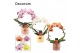 Phalaenopsis mix Boog - 2 tak, 14+ bloem - Lovely keramiek - Luxury Wo 