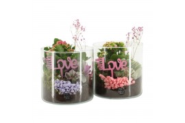 Arrangementen kamerplanten 21729: Mothers day arrangement 2 pp