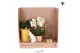Phalaenopsis Kolibri Green up your home - Gift Set - Mediterranean Sun 