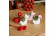 Echeveria mix TRULY Echeveria, Bear 1 pp 