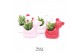 Crassula mix TRULY Crassula, Bear 1 pp 