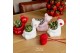 Crassula mix TRULY Crassula, Bear 1 pp 