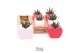 Succulenten TRULY Succulent, Heart mini 1 pp 