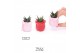 Succulenten TRULY Succulent, Rose mini 1 pp 