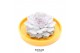 Arrangementen succulenten ROOTLESS Echeveria, Yellow bowl 1 pp 
