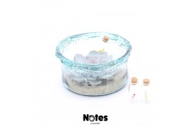 Arrangementen succulenten ROOTLESS Echeveria, Green glass - NOTES 1 pp