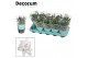 Schlumbergera witte eva White (Malissa) met hoes - Decorum 