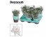 Schlumbergera witte eva White (Malissa) met hoes - Decorum 